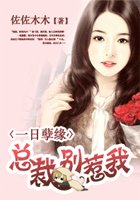 一日孽缘：总裁别惹我
