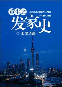 重生之发家史