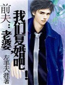 《前夫:老婆,我们复婚吧!》
