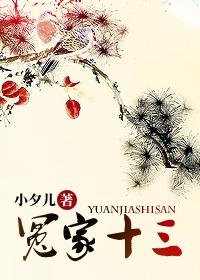 冤家十三