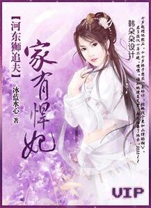 《河东狮追夫:家有悍妃》