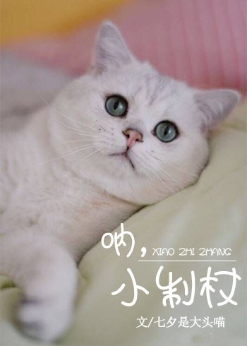 吶,小制杖