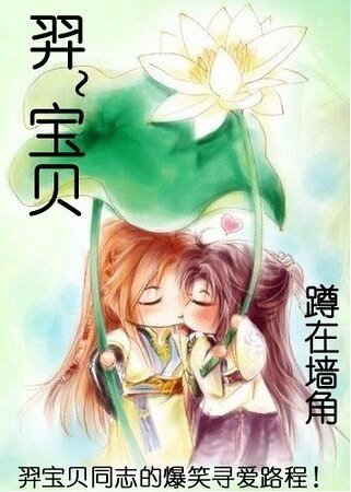 《男宠!我当定了/羿~~宝贝》