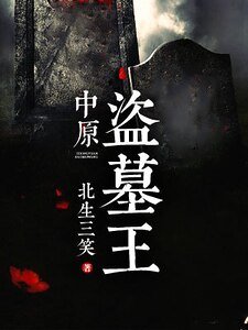 中原盗墓王