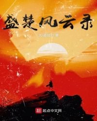 《盛楚风云录》