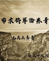 《布衣将军海东青》