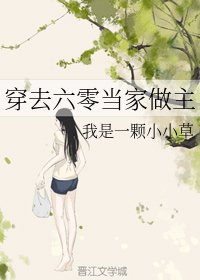 《穿去六零当家做主》
