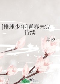 （少年漫同人）[排球少年]青春未完待续