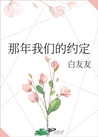 那年我们的约定