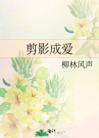 剪影成隘
