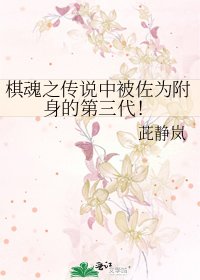 《棋魂之传说中被佐为附身的第三代!》