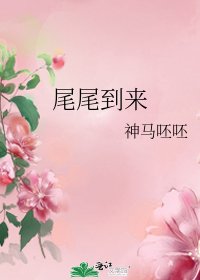 尾尾到来