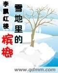 雪地裡的檳榔