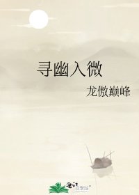 《寻幽入微》