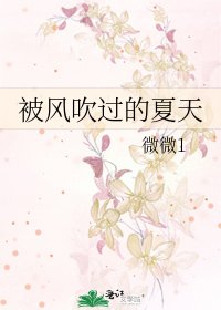 被风吹过的夏天