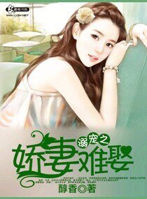 溺宠之娇妻难娶