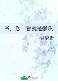 《爺,您一看就是強攻》