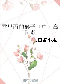 雪里面的猴子（中）离别多