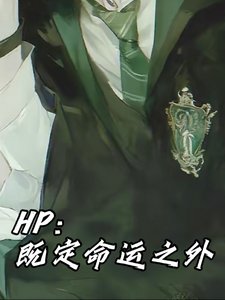 《(HP同人)HP:既定命运之外》