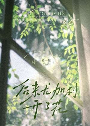 《后来尤加利开了花》