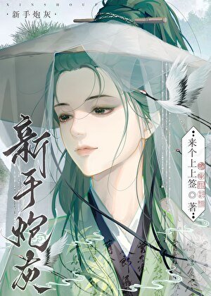 新手炮灰線上拐走女主[快穿]